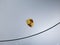 2019 Porsche 911 911 Turbo S