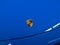 2023 Porsche 911 911 Turbo S Cabriolet